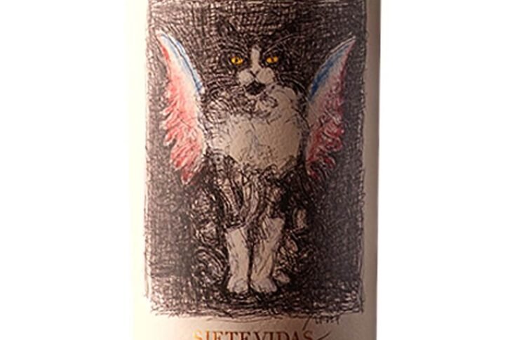 4 Gatos Locos siete vidas